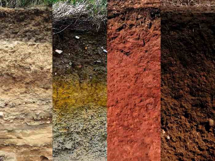 تاثیر خاک در کشاورزی و انواع آن: 